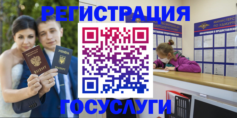 прописка поиск в Невеле